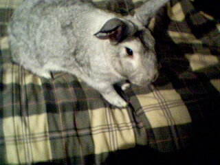 pict0008.jpg